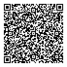 Solace Systems Inc QR Card