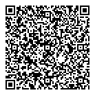 Falconet Consulting QR Card