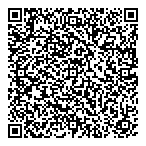 Laidy  Ray Consulting Inc QR Card