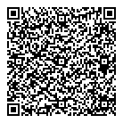 Mnp LLP QR Card