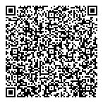 V N Instruments Ltd QR Card