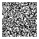 Stormy Car Sales QR Card