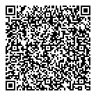 Vanvark Electric QR Card