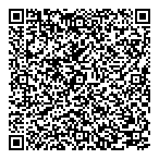 Rapid Change Consulting QR Card