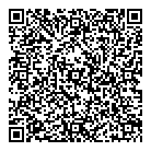 Leisure Store Inc QR Card