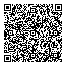 Vistek QR Card