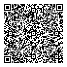 Pentelar Consulting QR Card