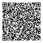 Idigiteyes Networks Inc QR Card