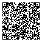 Bridges Agt Consulting QR Card