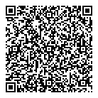 Origyns Medical QR Card