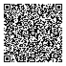 D E Systems Ltd QR Card