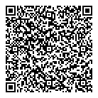 Webgauge Consulting Ltd QR Card