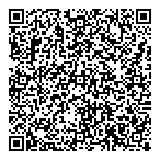 Dillon Consulting Ltd QR Card