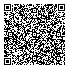 Lyra Drycleaner QR Card