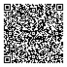 Anne Cure Violins QR Card