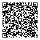 Tesla QR Card