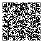 Denchem Limited QR Card