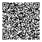 Vns Fine Cars QR Card