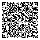 Wizz Kidz Ltd QR Card