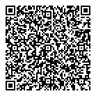 Rigid Automotive QR Card