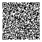 Boca Chica QR Card