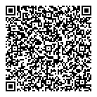 Nomis Digital QR Card