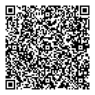 Toronto Latin Media QR Card