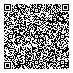 Dolphin Advisory Accounting QR Card