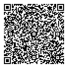 Dt Auto Services Ltd QR Card