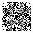 Aaa Power Electric Ltd QR Card