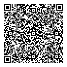 A1 Link QR Card