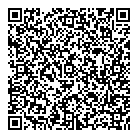 Mnv Auto Detailing QR Card