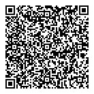Spivis Consulting QR Card