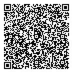 Websitetoon Consulting QR Card