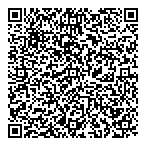 Azadeh Software Consultant QR Card