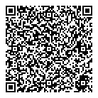 Vianet QR Card