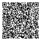 Blitz Electric QR Card