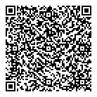 Mr Electric QR Card