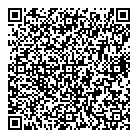 Line Vision Inc QR Card