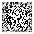 V Gl Group Ltd QR Card