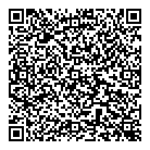 Ss Mobile Auto QR Card