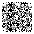 2009 Long Lake Holdings Inc QR Card