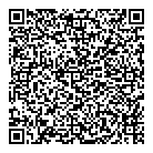 Alpha Lock Security QR Card