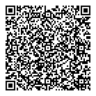 Spidermen QR Card