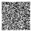 Mr Electric QR Card