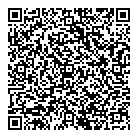 Bala Falls Pub QR Card