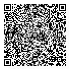 Sme Strategies Inc QR Card