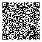 Netgain Seo QR Card