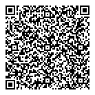 Mnp Llp QR Card