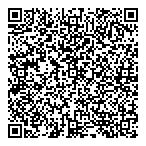 Northern Lights Ford Sales QR Card